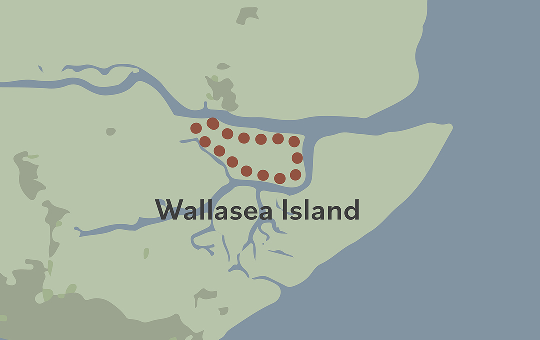 Wallasea Island • Design that moves