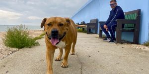 Bear the dog on Canvey credit Kevin Rushby
