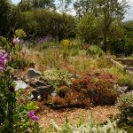 Community garden Langdon Hills